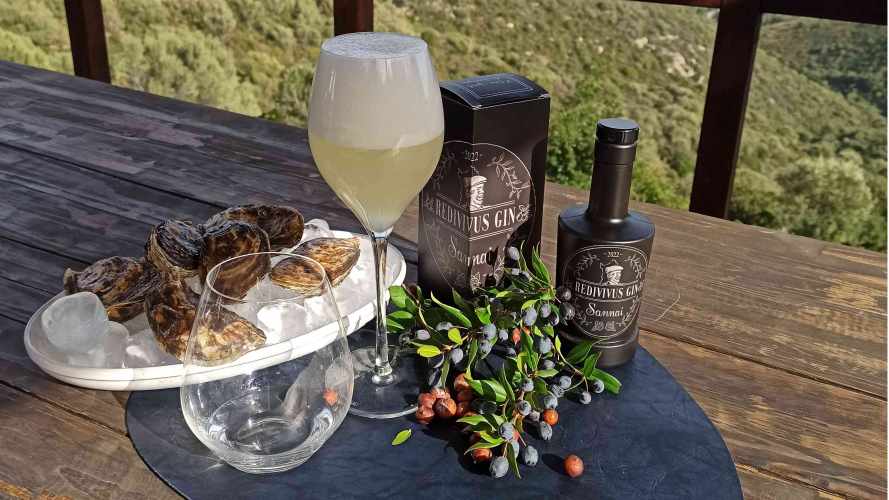 Dégustation lors de la visite d'un atelier de production de gin