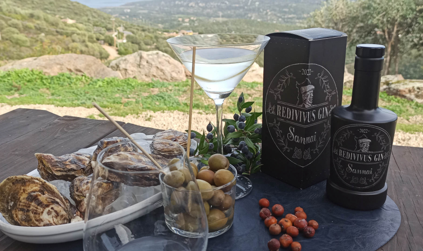 Dégustation de gin dans un domaine près d'Olbia