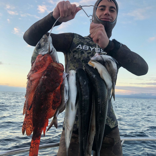 Während eines geführten Ausflugs im Porto Conte Park gefangener Fisch