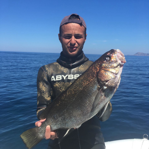 Führer mit frisch gefangenem Fisch in Porto Conte