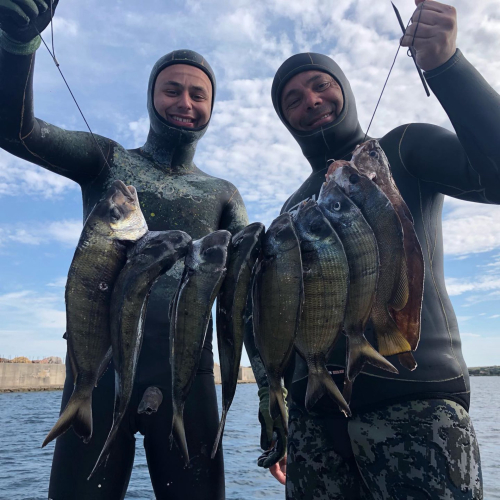 Während eines geführten Ausflugs im Porto Conte Park gefangener Fisch