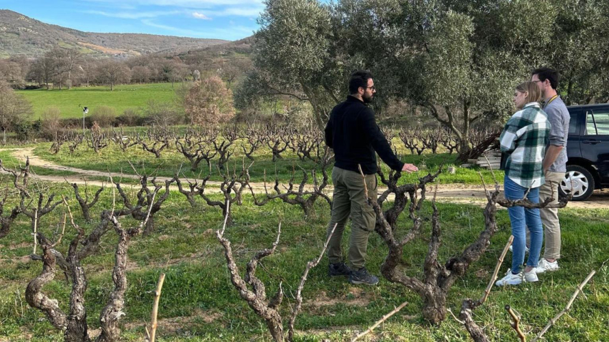 Visite du vignoble familial d'une exploitation viticole à Mamoiada