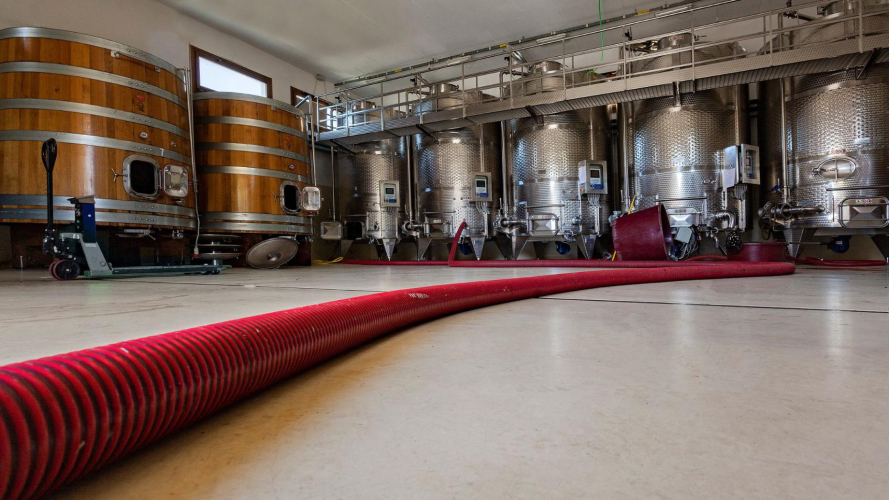 Fûts de vin dans une cave à Mamoiada