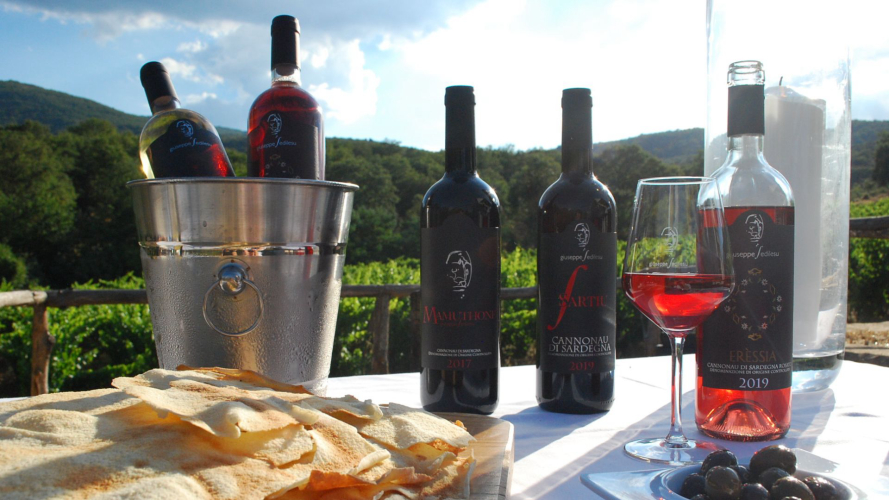 Dégustation de vins et de produits typiques dans une entreprise de Mamoiada