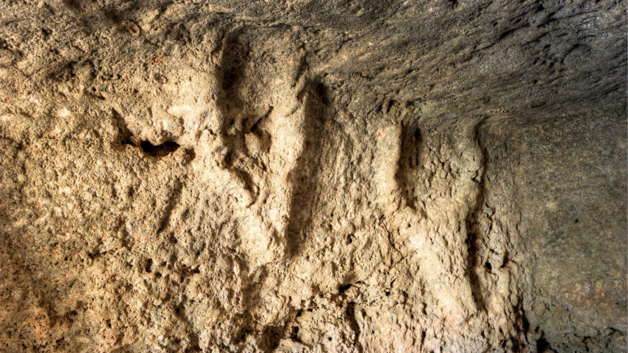 Enigmatic symbols with bulls at an archaeological site in north-west Sardinia