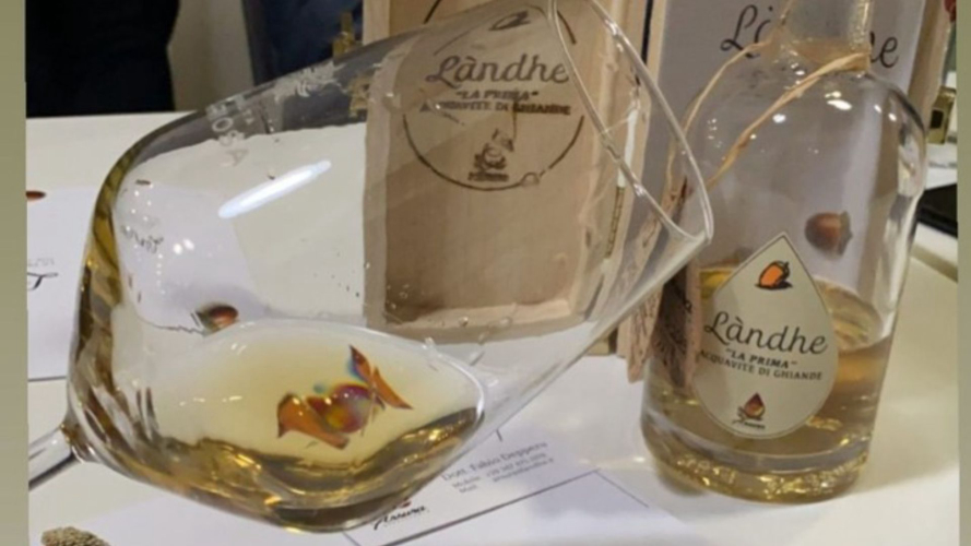 Dégustation de distillats uniques à base de glands, de mûres et de baies