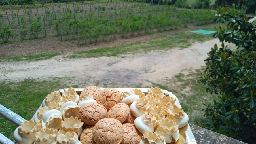 Dégustation de douceurs typiques de la Sardaigne lors d'une visite guidée d'une distillerie unique.