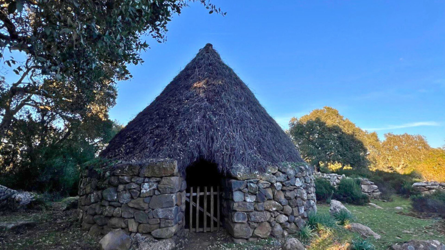 Pinnettu sarde à l'intérieur du parc de la Giara à Tuili