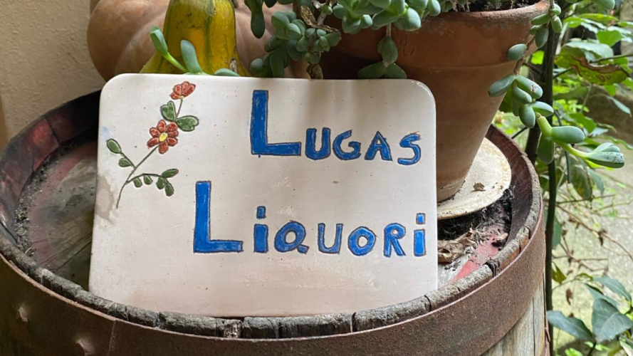 Cellar entrance for chocolate and liquor tasting at a company in Laconi