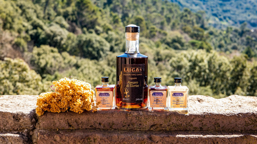 Tasting of typical Sardinian herb-flavoured liqueurs at a company in Laconi