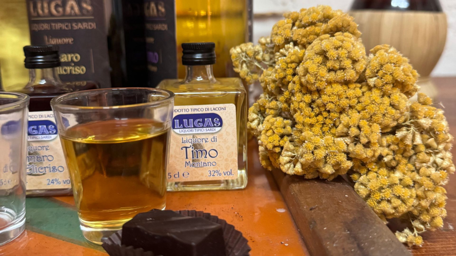 Typical Sardinian liqueurs made from indigenous aromatic plants at a company in Laconi