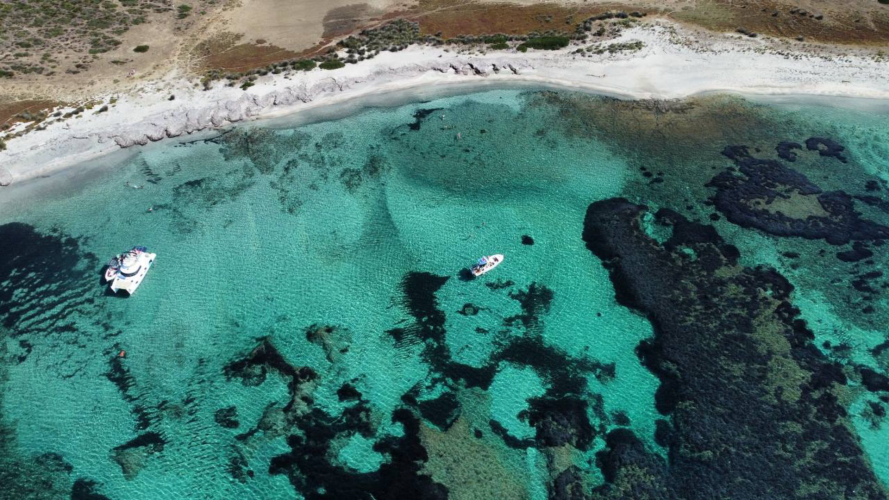 Barco navegando por las aguas cristalinas de Asinara