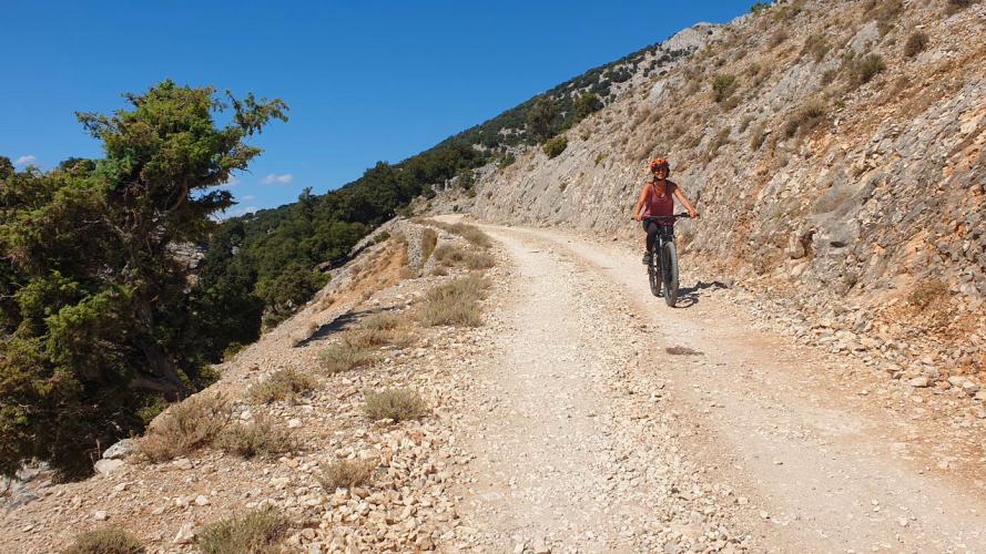 Excursión en bicicleta eléctrica por Supramonte