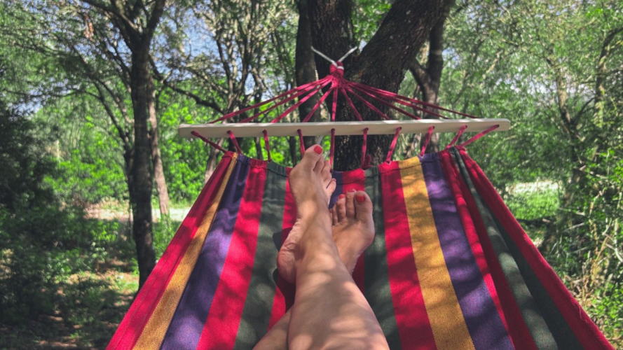 Hamac pour se détendre en pleine nature à l'ombre d'un grand arbre