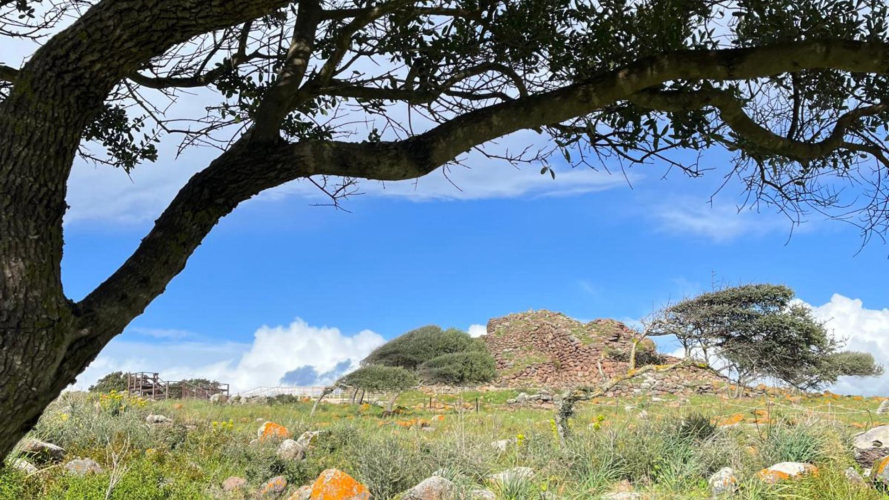 Visita guidata al nuraghe Seruci