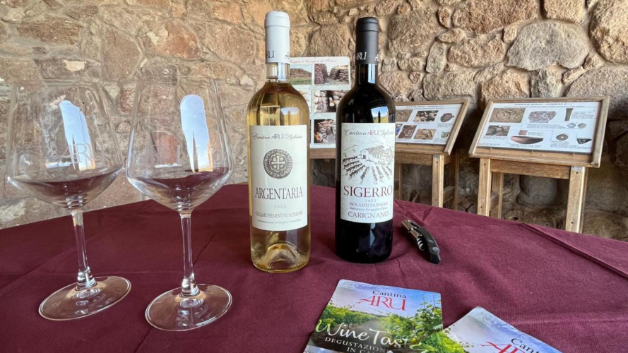aperitivo con vino al Nuraghe Seruci