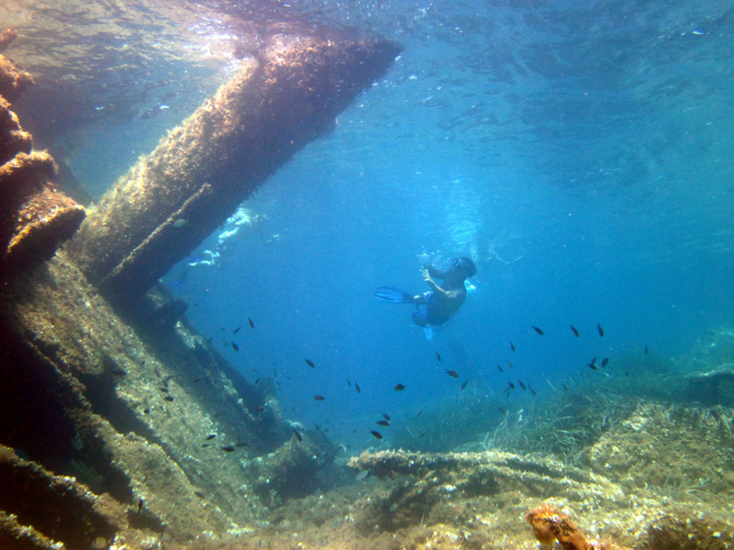 Snorkeling et excursion sous-marine sur épave à Tavolara