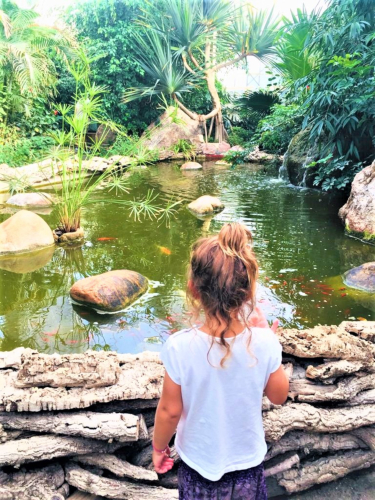 Little girl visiting the butterfly house