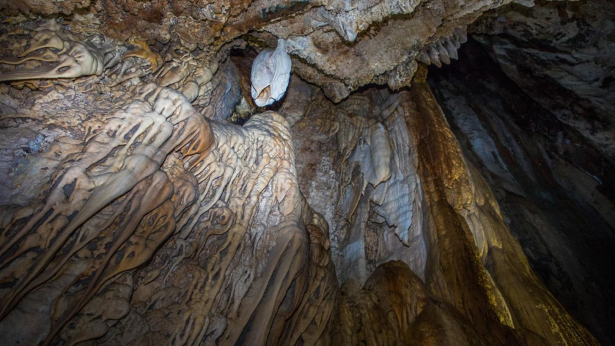 Estalactitas en la cueva del Pelícano en Capo Marrargiu