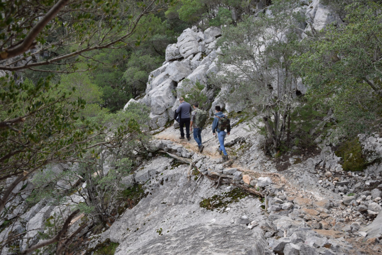 Trekkingroute im Supramonte zur Höhle Sa Nurre de Su Hoda in Oliena