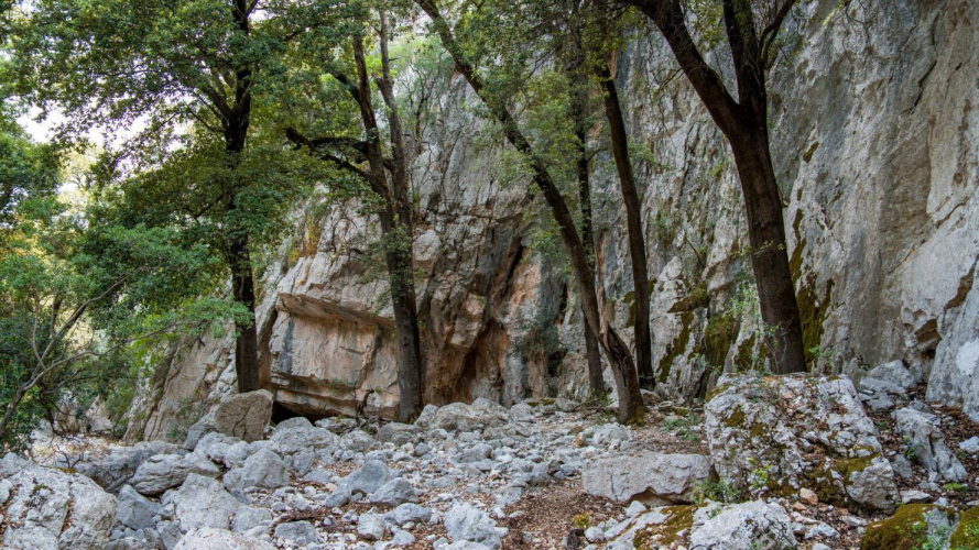 Felsige Landschaft im Supramonte di Oliena