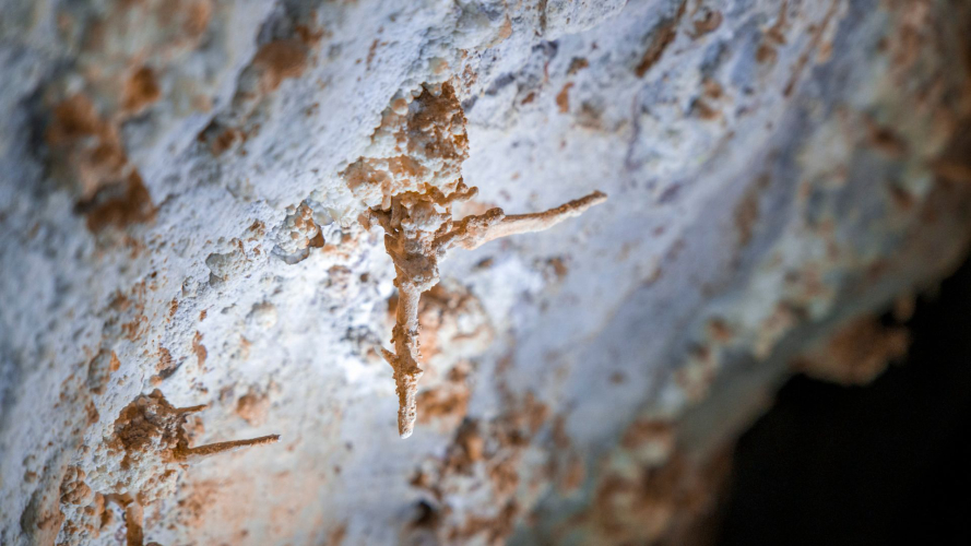 Stalaktiten im Inneren der Höhle Sa Nurre de Su Hoda in Oliena