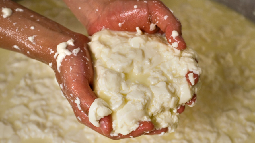 Démonstration de la transformation du lait de brebis au laboratoire laitier de Burgos
