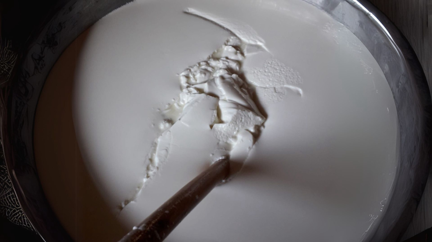 Démonstration de la transformation du lait de brebis au laboratoire laitier de Burgos
