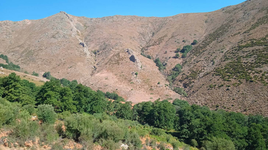Natura sul monte Gennargentu