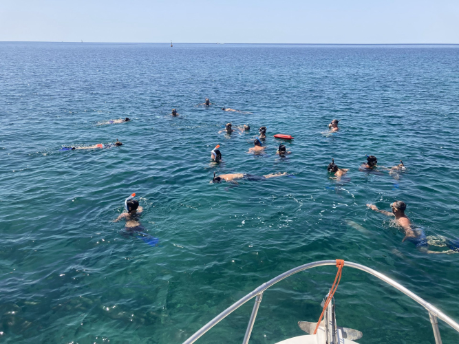 Les randonneurs nagent dans la mer d'Alghero