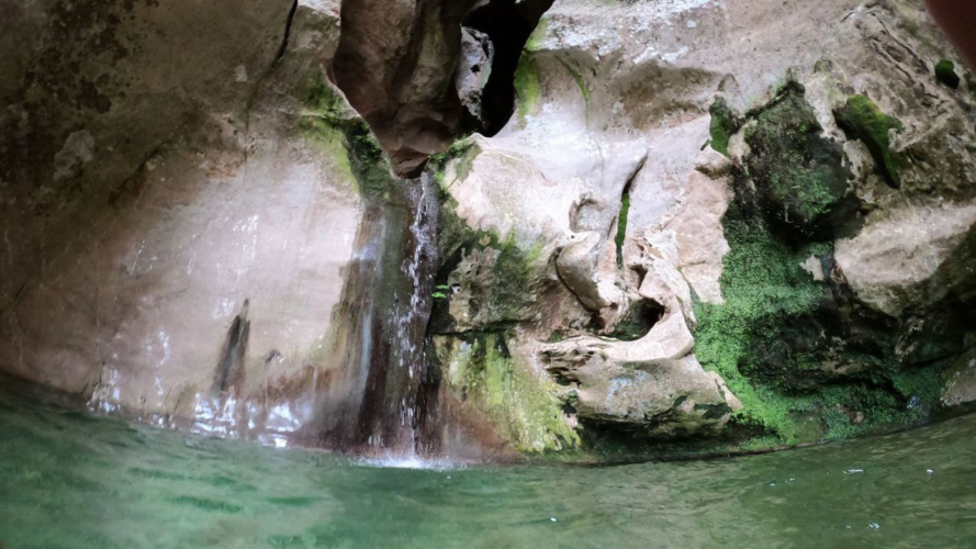 Natura del Supramonte di Urzulei