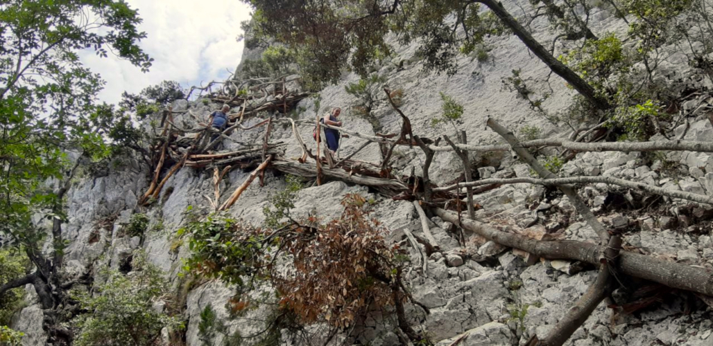 trekking route or path with a view of the Cala Mariolu beach