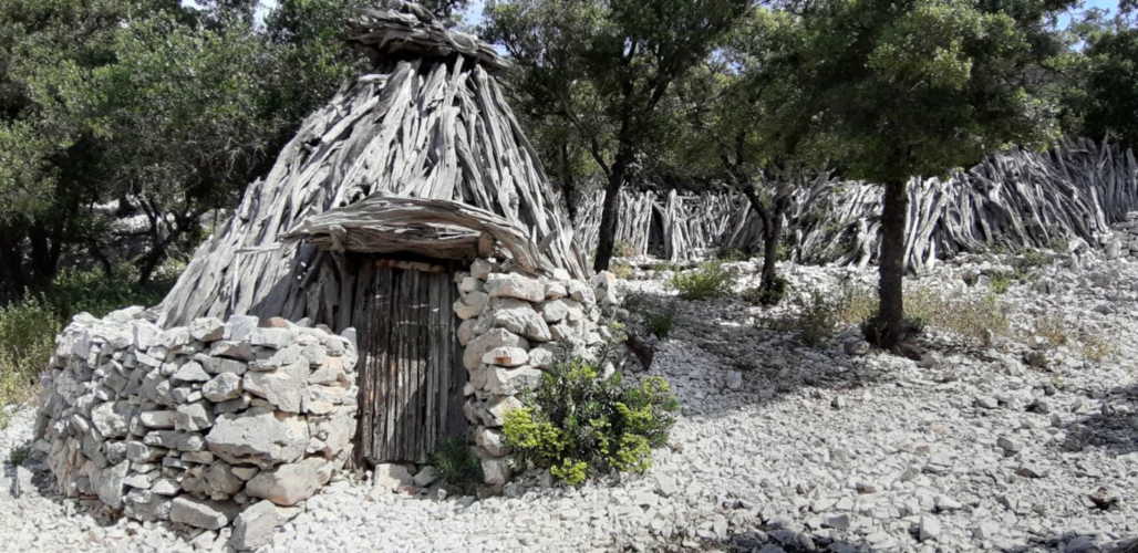 Sardinian pinnetu in Baunei in the cala Mariolu trek