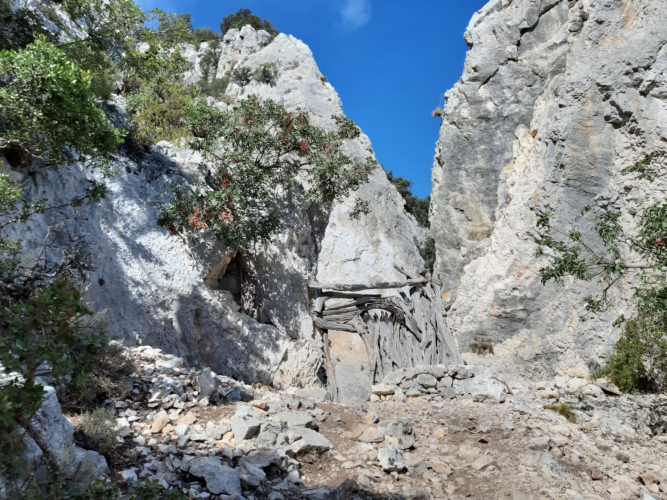 Remains of a shepherd's sheepfold in the trek to cala Mariolu in Baunei