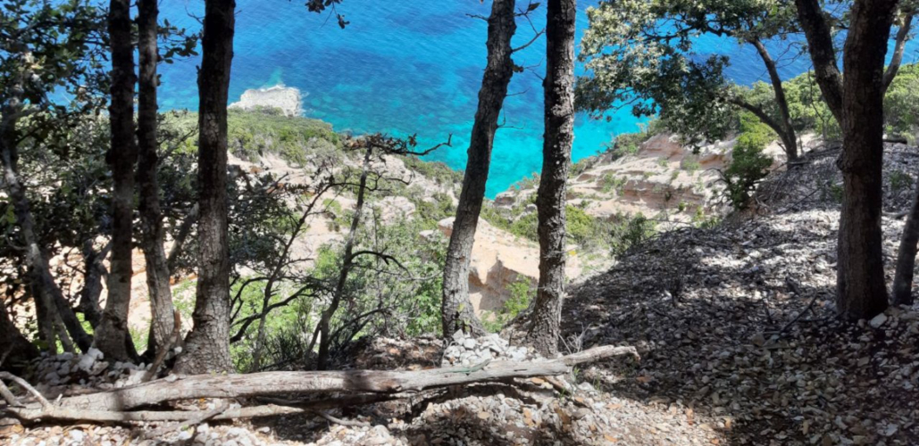 itinéraire de trekking ou promenade avec vue sur les eaux bleues cristallines de la plage de Cala Mariolu