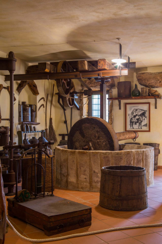 Guided tour of the museum
