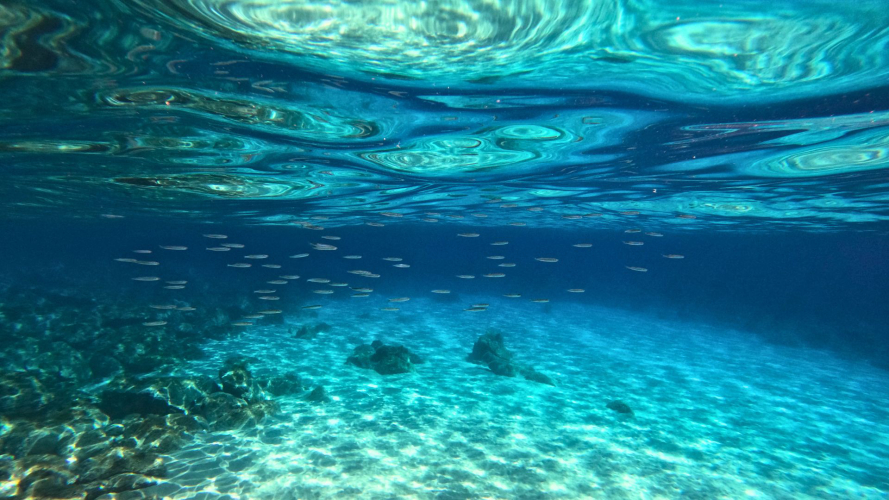 Fondos marinos del Golfo de Orosei