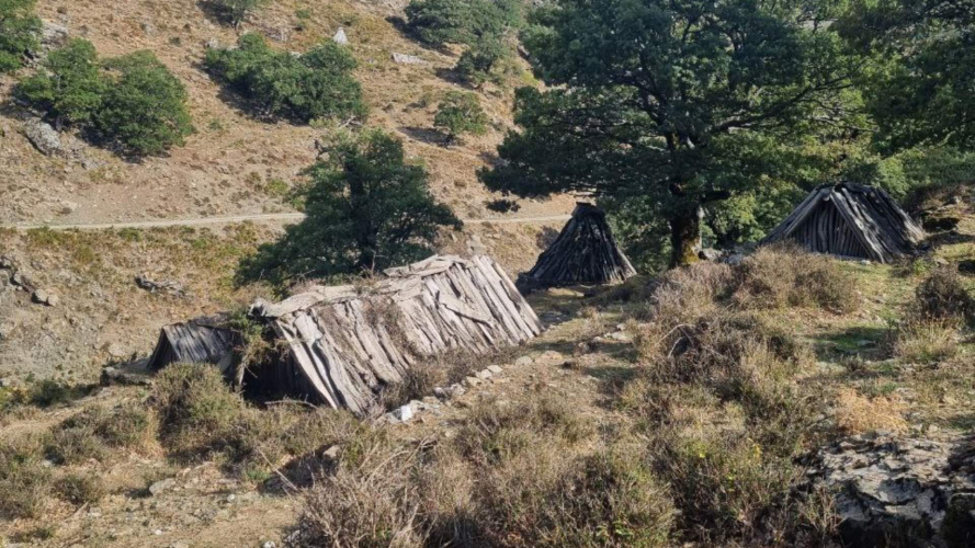 Vue des bergeries du berger de Barbagia