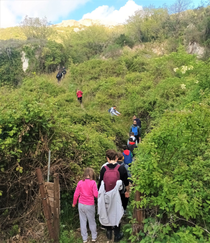 Guided donkey trekking in the green nature of the Cargeghe area