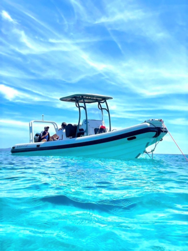<p>Schlauchboot mit Markise im blauen Meer des Carloforte-Gebiets</p><p><br></p>