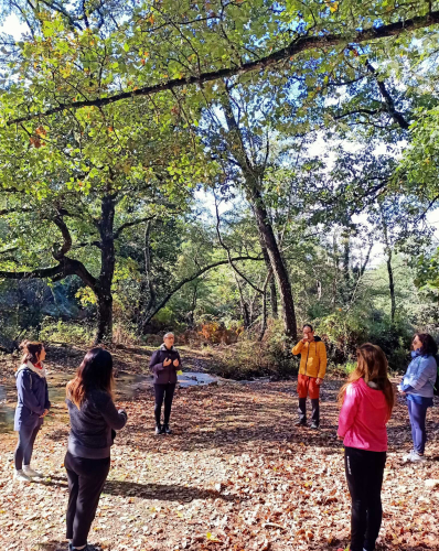 Guide avec des randonneurs dans une forêt tout en faisant l’expérience du bain de forêt