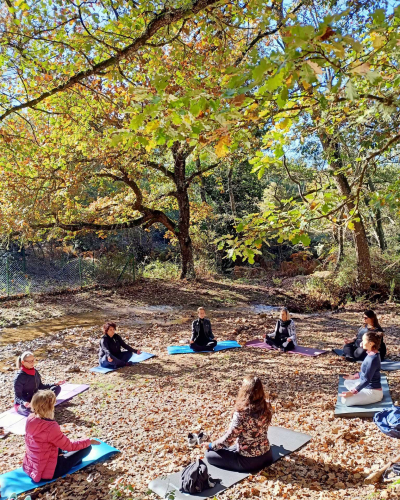 Guide avec des randonneurs dans une forêt tout en faisant l’expérience du bain de forêt
