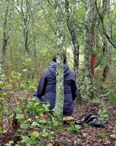 Randonneur et arbre dans une forêt