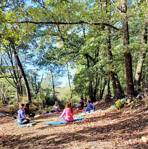 Expérience avec un guide sensoriel et profond dans une forêt à Cagliari