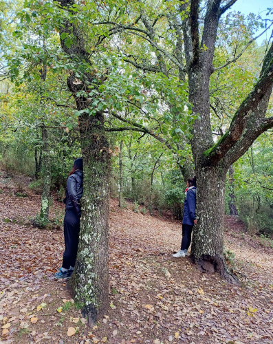 Randonneurs en randonnée dans une forêt à Cagliari