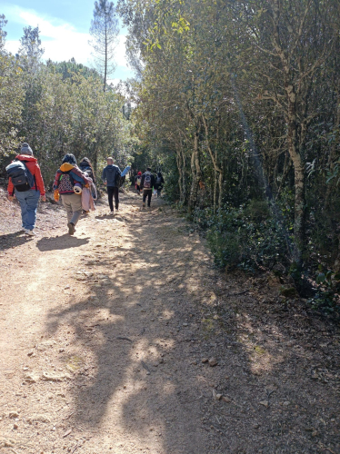 Randonneurs en promenade dans la forêt des Sept Frères