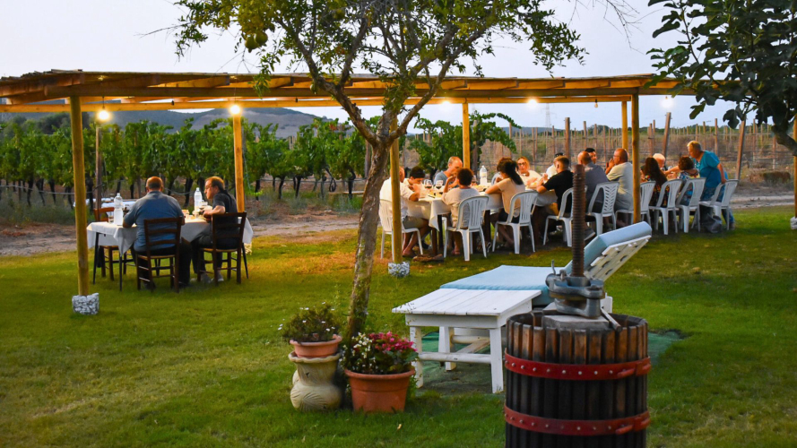 Cena in vigna nel territorio di Alghero