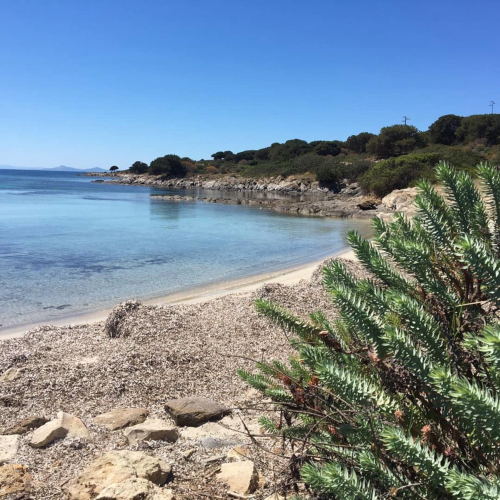 Verlassener Strand auf der Insel Asinara
