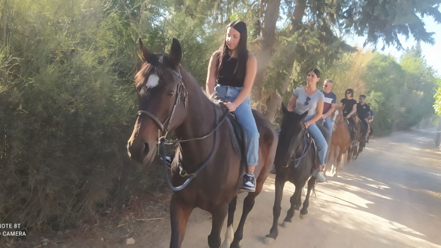 Garçons à cheval près de Cagliari