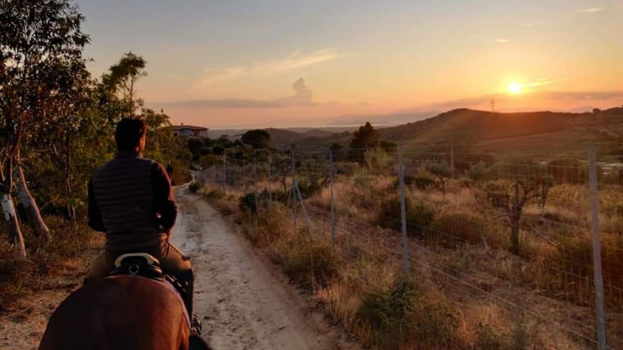 Persona mentre passeggia a cavallo durante il tramonto a Cagliari